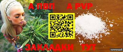 кокс Обь