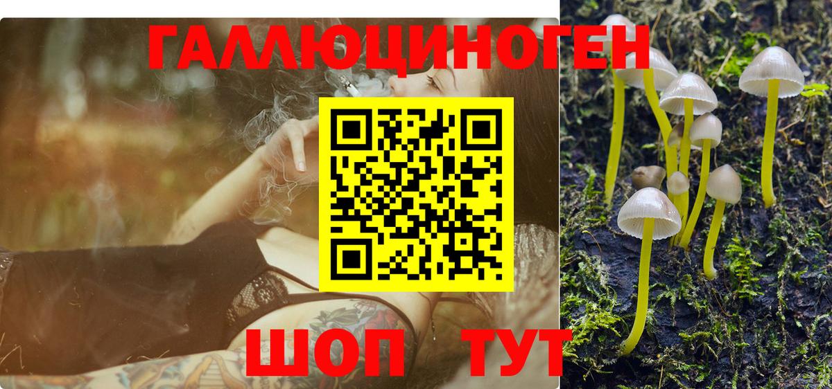 Галлюциногенные грибы MAGIC MUSHROOMS Троицк